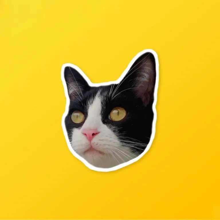 Custom Face Stickers - Image 4