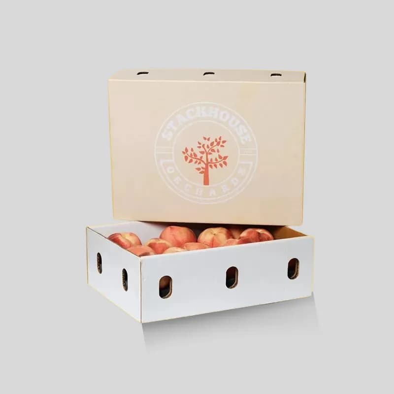 Custom Fruit Boxes - Image 5