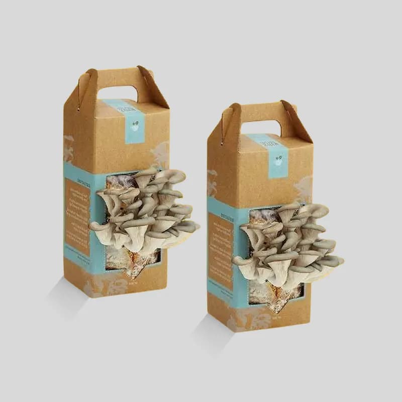 Custom Mushroom Boxes - Image 3