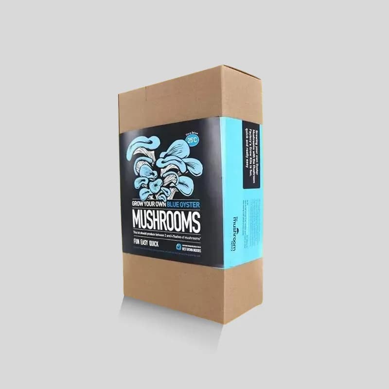 Custom Mushroom Boxes - Image 4