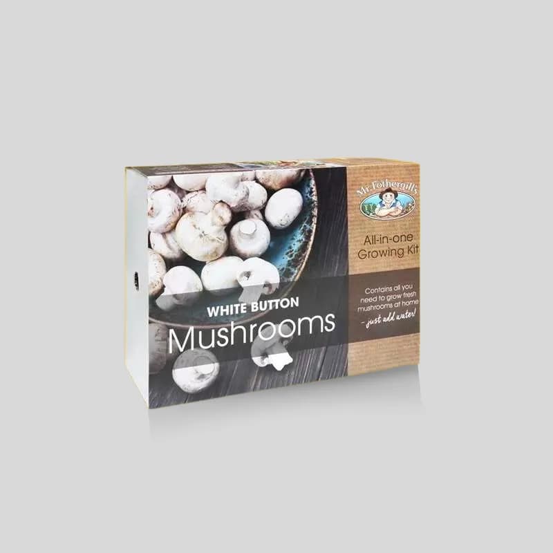 Custom Mushroom Boxes - Image 5