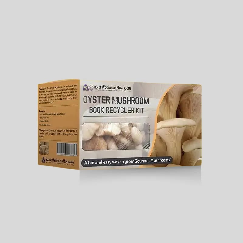 Custom Mushroom Boxes - Image 1