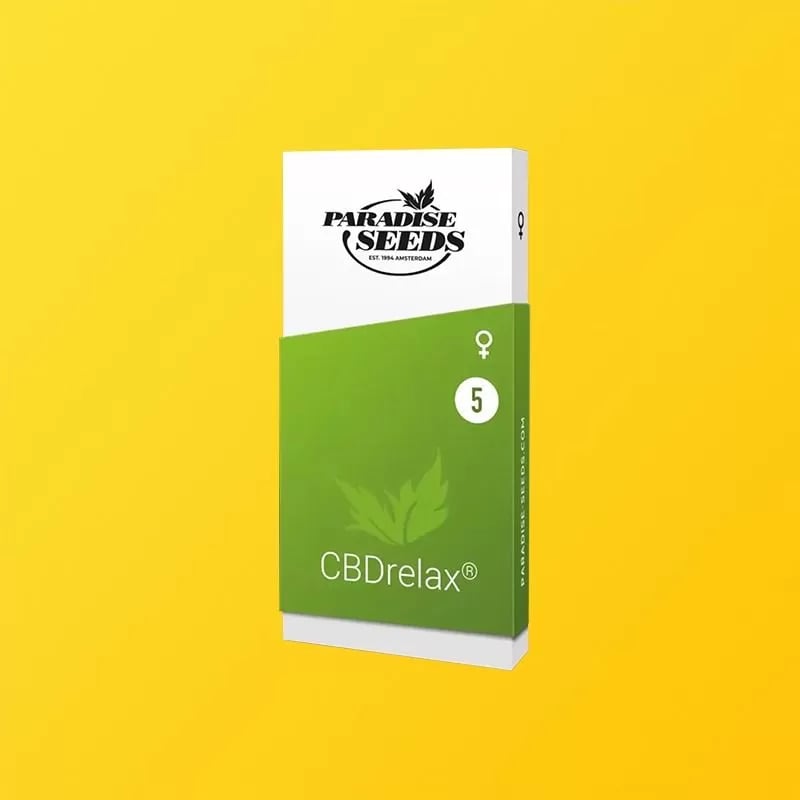 Custom CBD Seed Boxes - Image 1